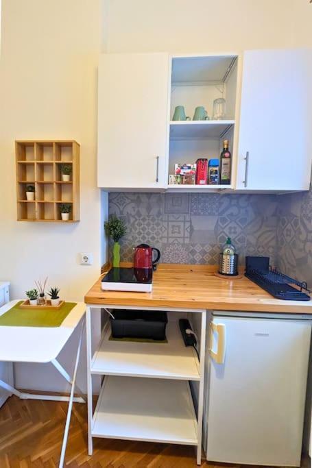 Cozy Ensuite Room In Zagreb Center Dış mekan fotoğraf